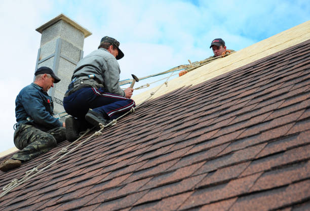 Best Roof Gutter Cleaning  in Spotswood, NJ